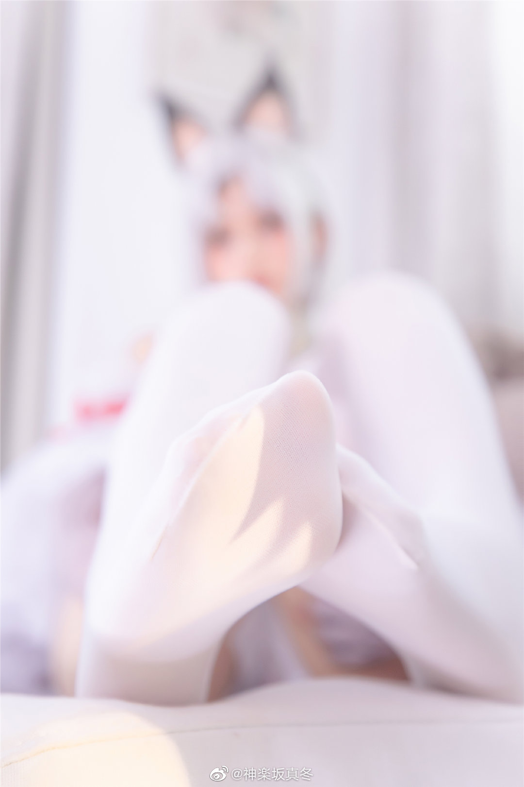 《C站·第3400期》胡桃白萝莉