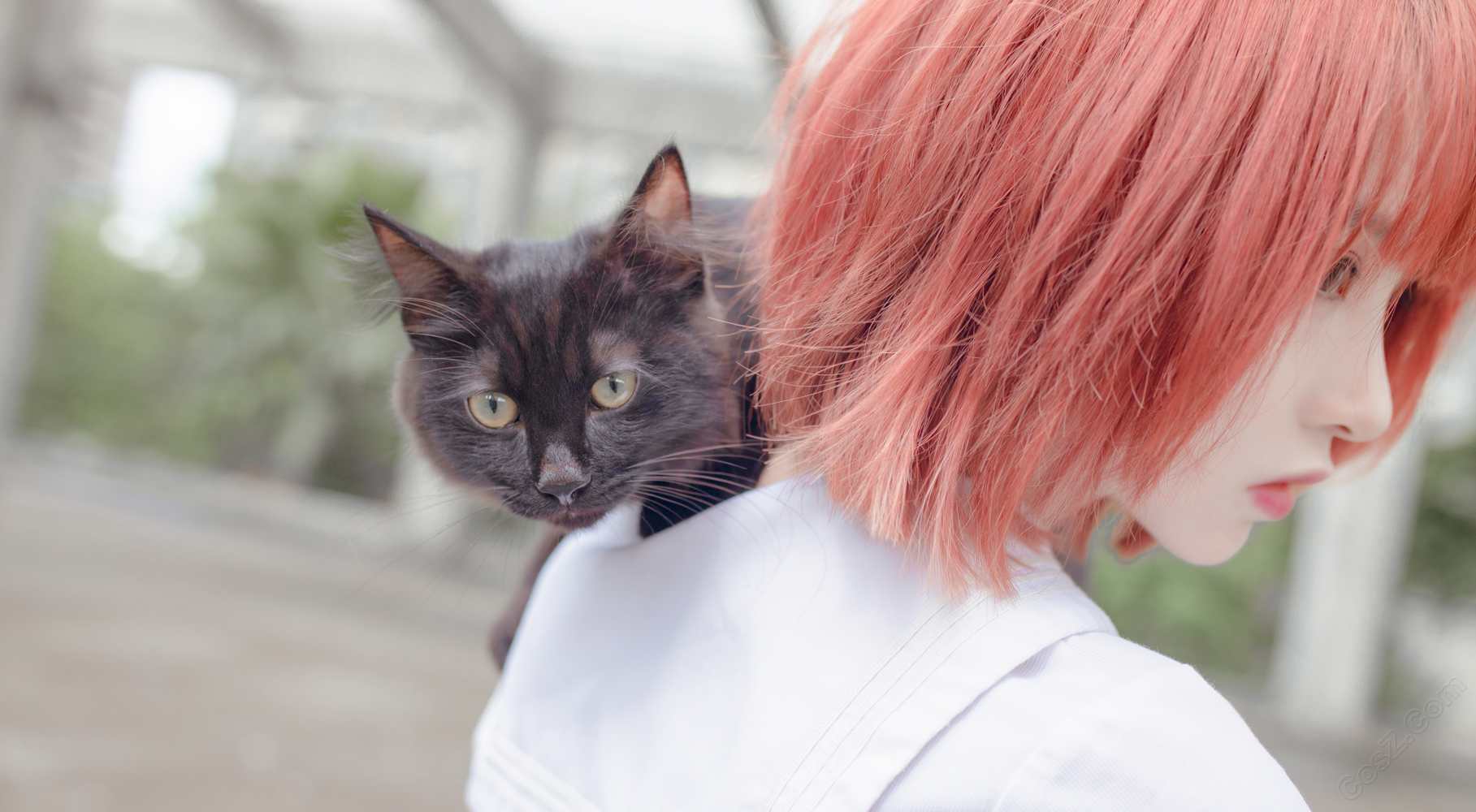 《C站·JK·第400期》JK秋之物语