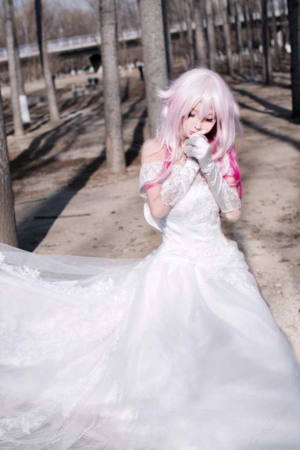 《C站·第3314期》罪恶王冠