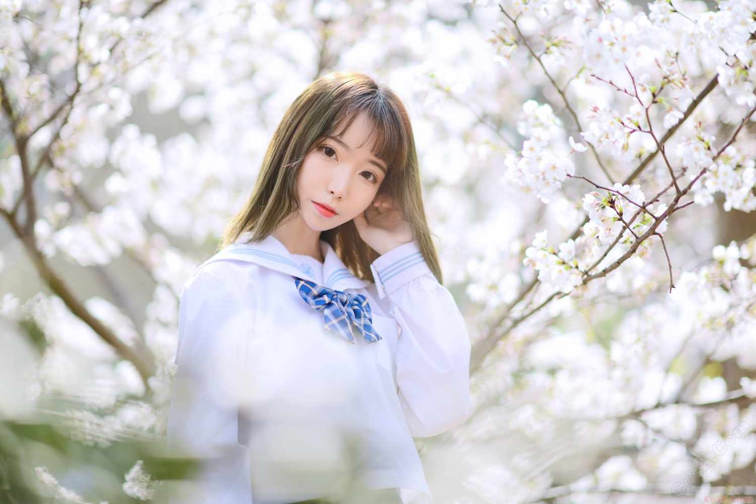 《C站·JK·第438期》JK少女之樱花树下