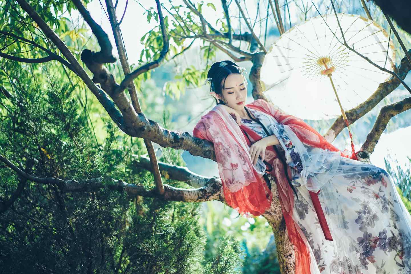 《汉服第368期》汉服私影#妖颜#