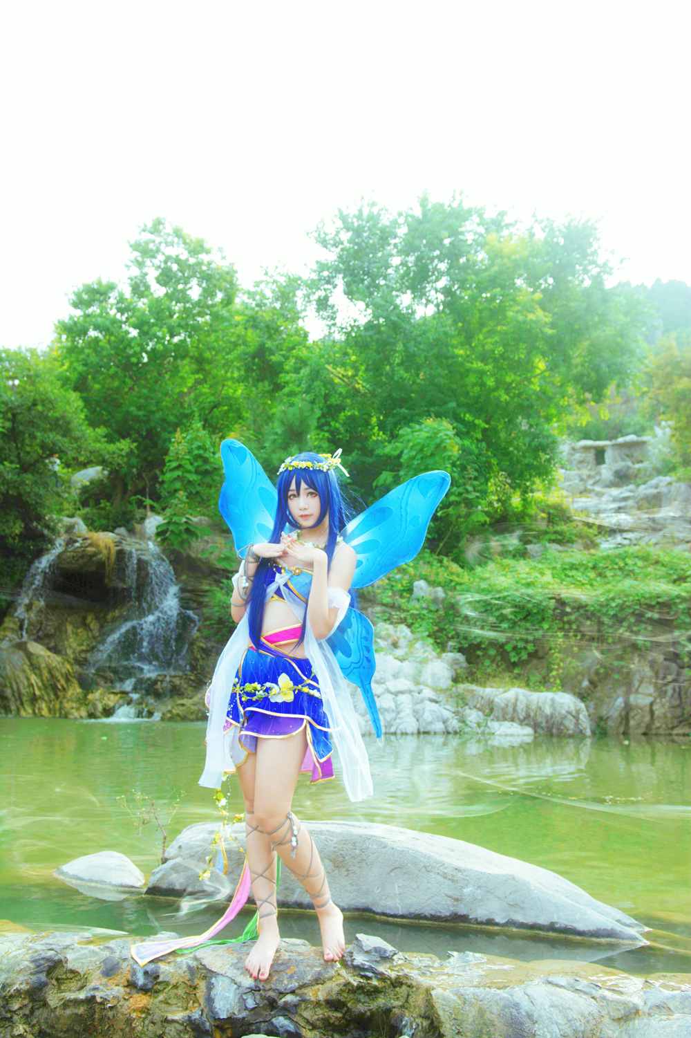 《C站·lolita·第584期》lovelive! 花妖觉醒蝴蝶仙子满天飞