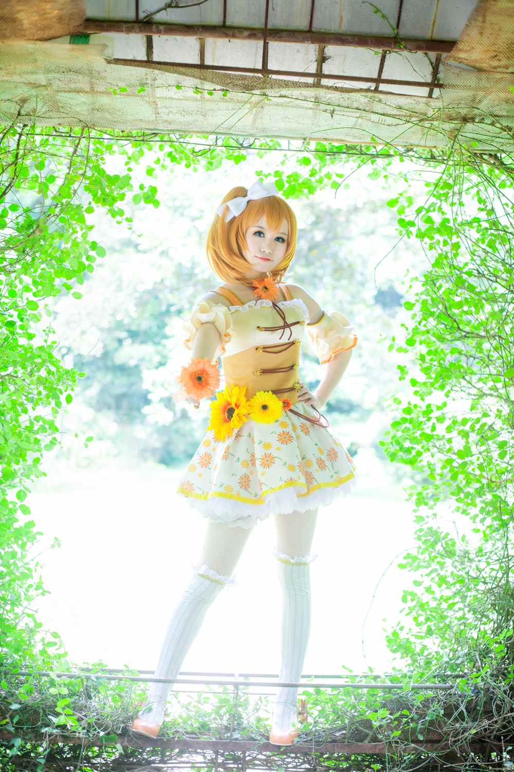 《C站·lolita·第608期》LOVELIVE!高坂穗乃果森林之女