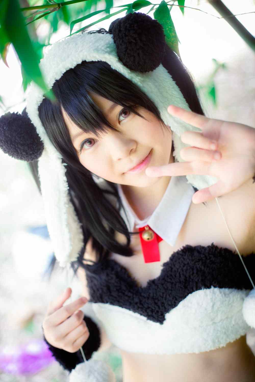 《C站·第3258期》一只野生的熊猫