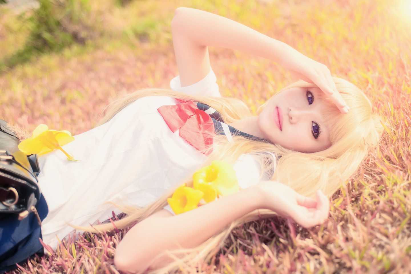 《C站·JK·第332期》绝园的暴风雨不破爱花