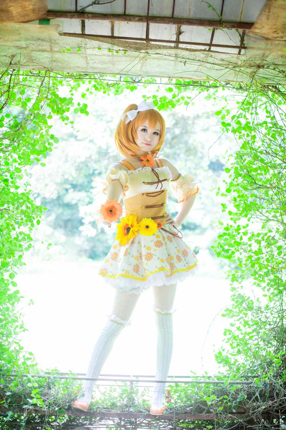 《C站·lolita·第833期》LOVELIVE!高坂穗乃果