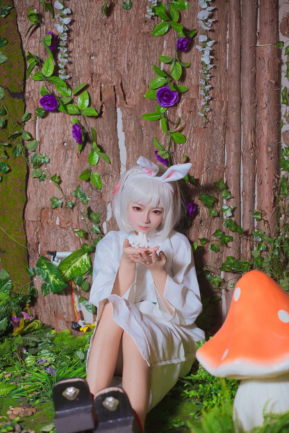 《C站·第3274期》阴阳师 山兔