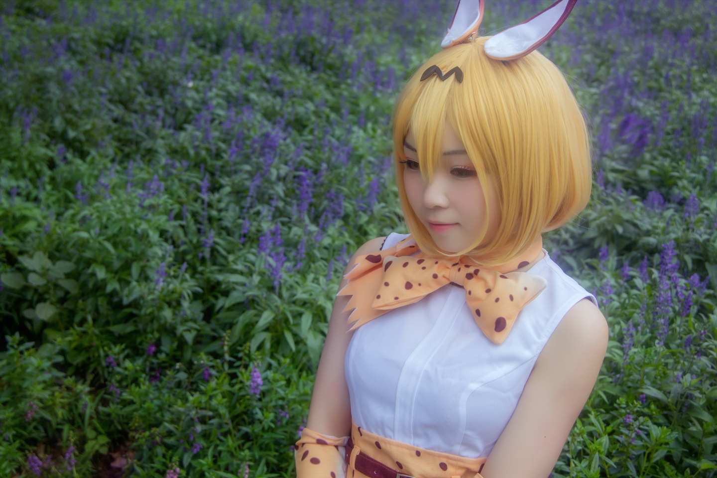 《C站·第3149期》兽娘动物园