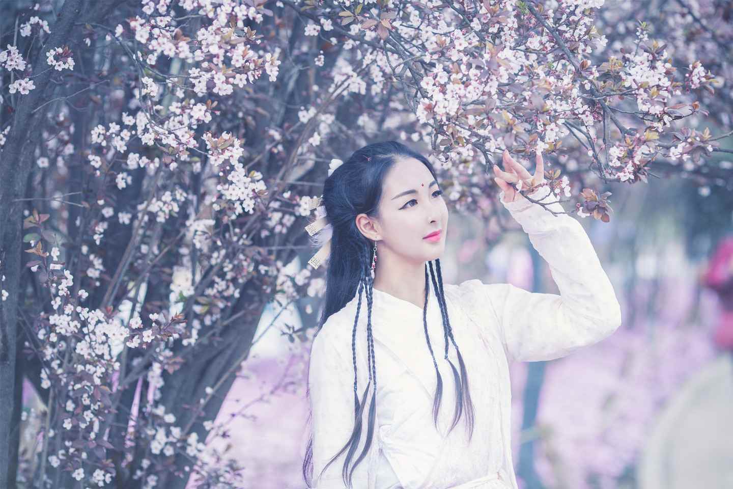 《汉服第822期》倚天屠龙记 芷若