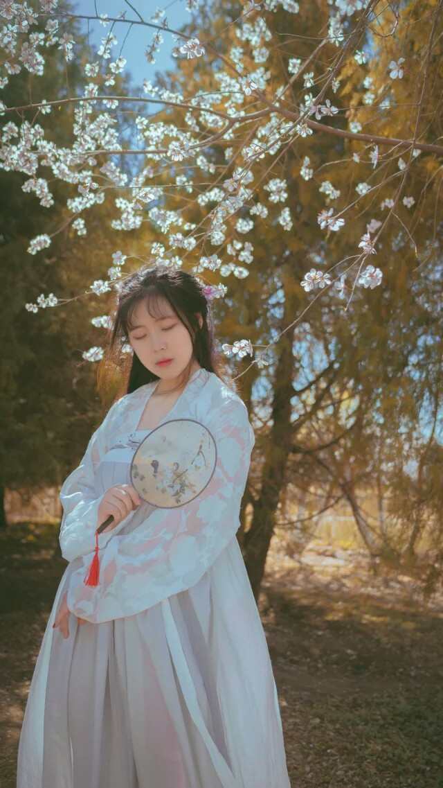 《C站·lolita·第864期》樱花妖