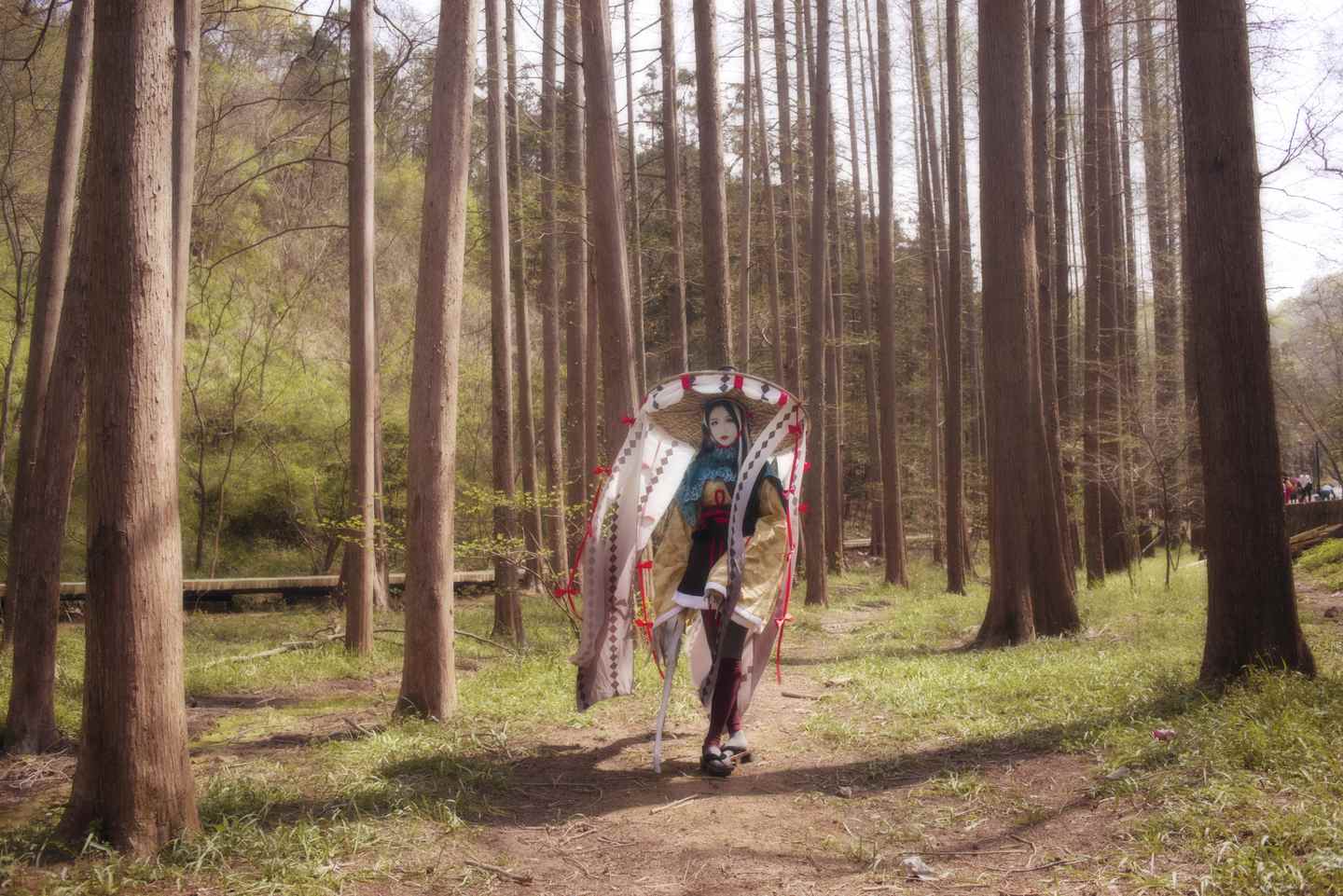 《C站·第3296期》阴阳师姑获鸟觉醒