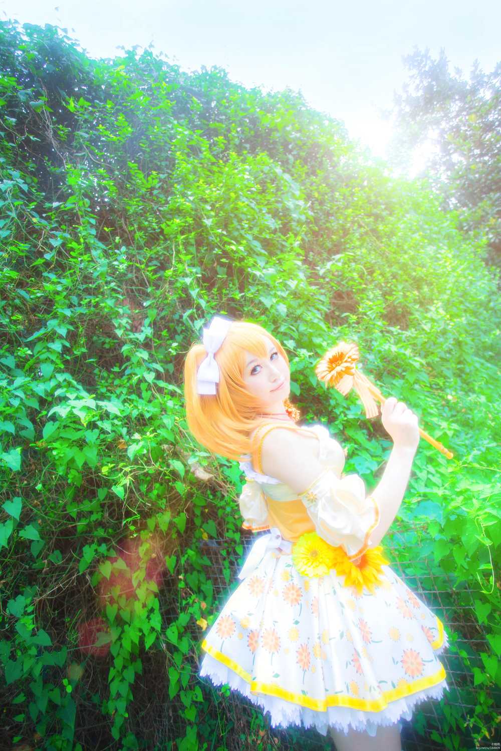 《C站·lolita·第833期》LOVELIVE!高坂穗乃果