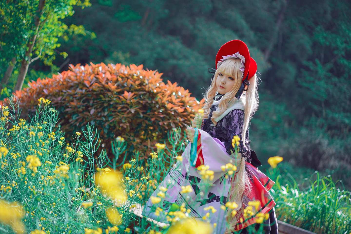 《C站·lolita·第453期》蔷薇少女小樱