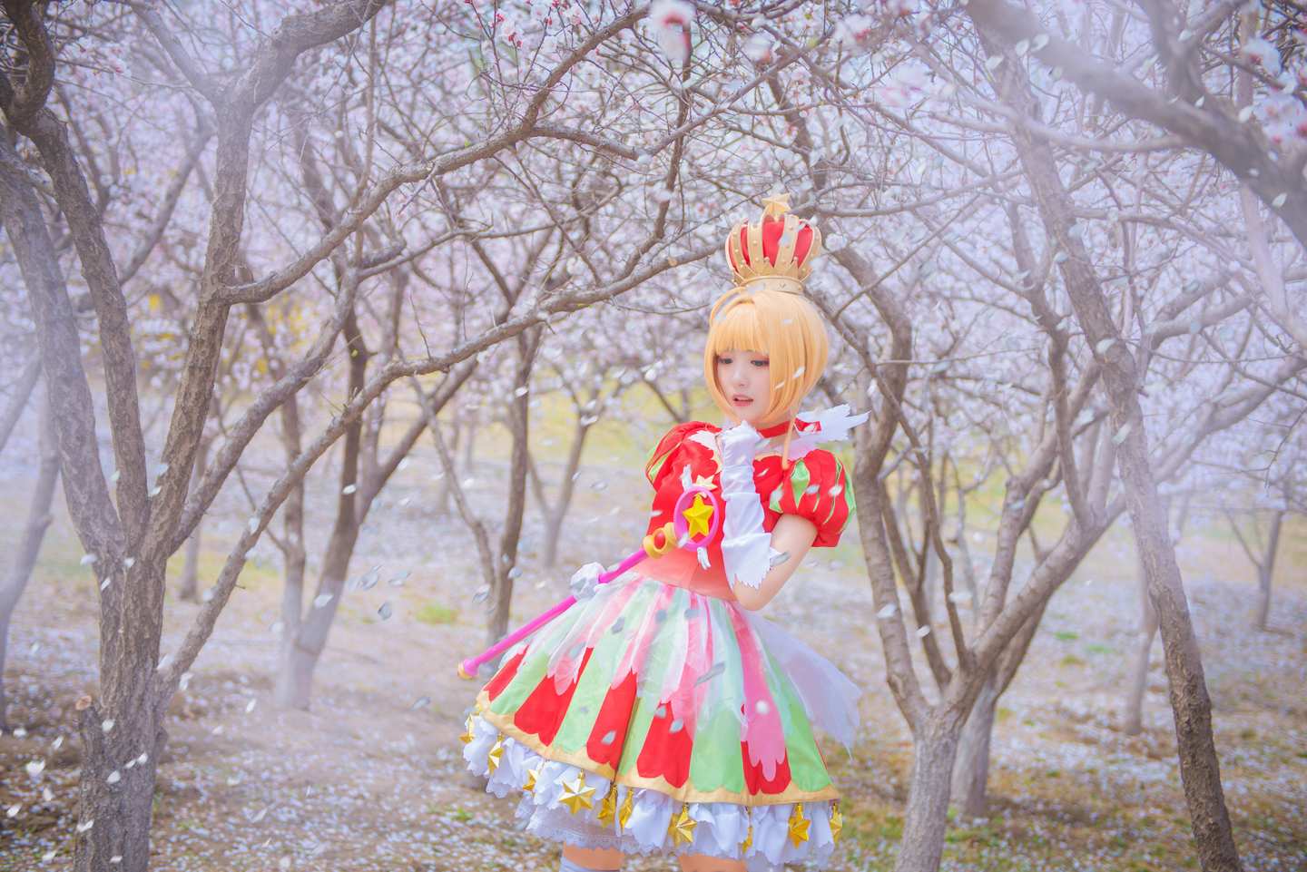 《C站·lolita·第347期》小樱20周年手办