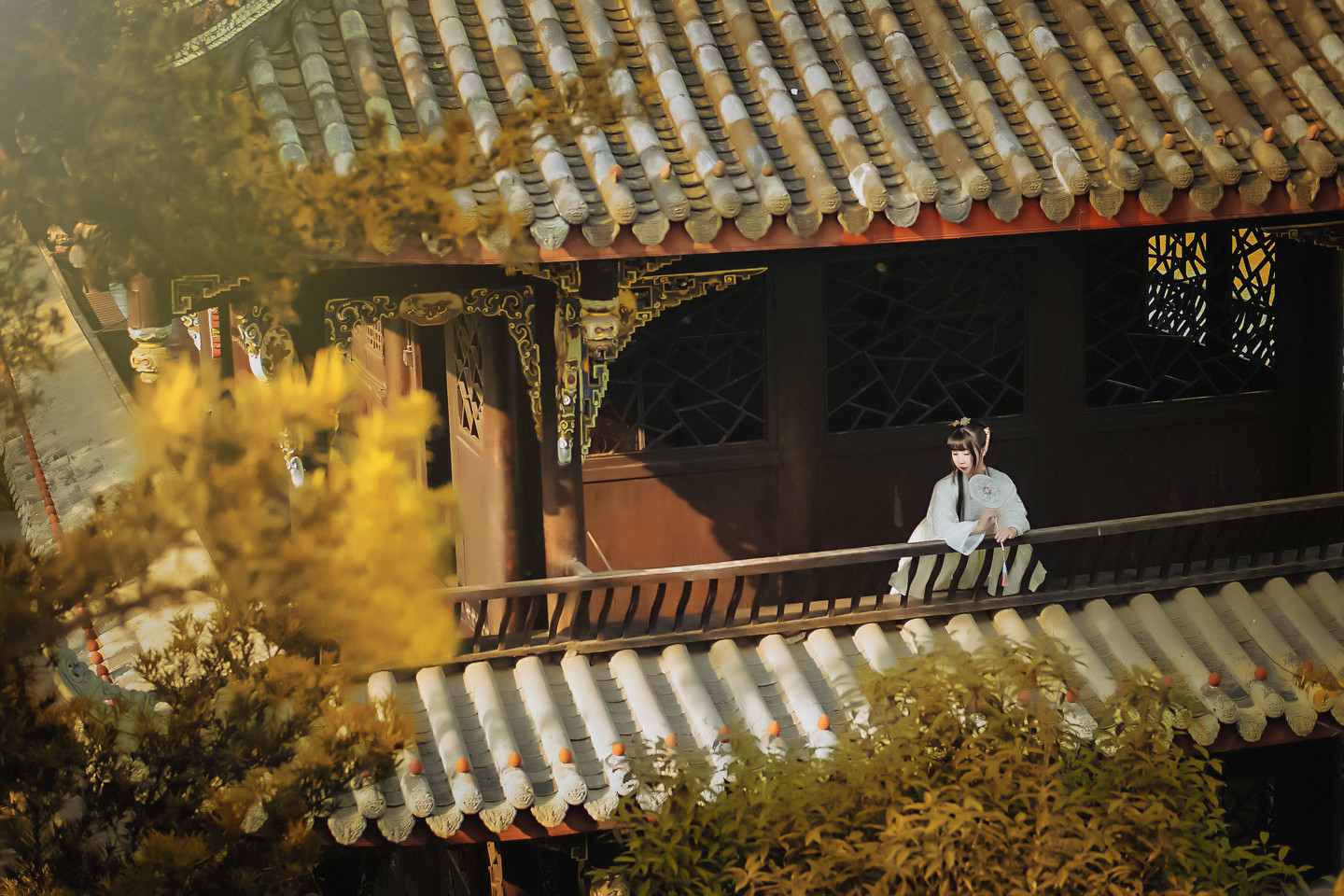 《汉服第359期》汉服私影  青山绿水，白草红叶黄花