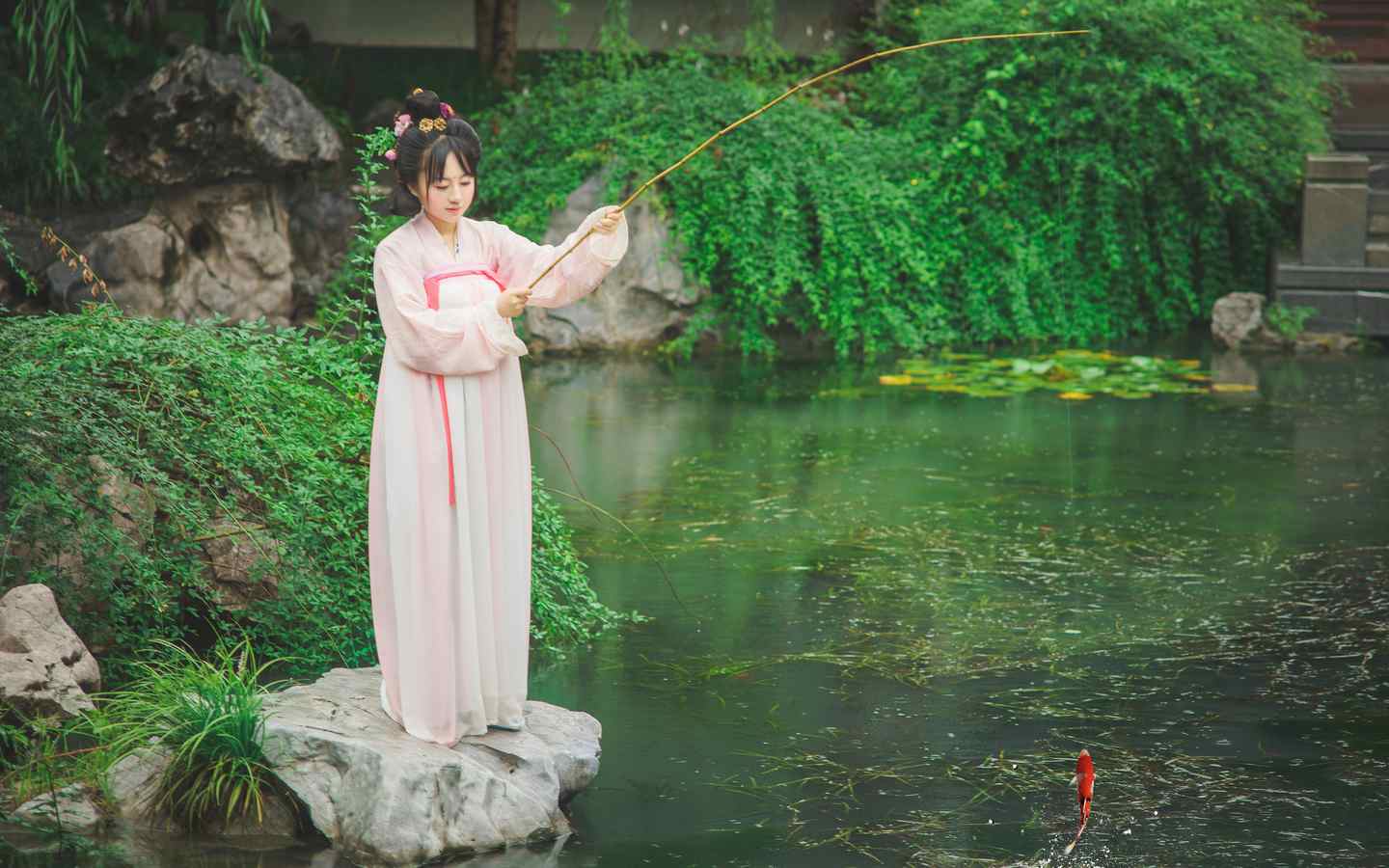 《汉服第343期》汉服 六月雅事 池亭赏鱼