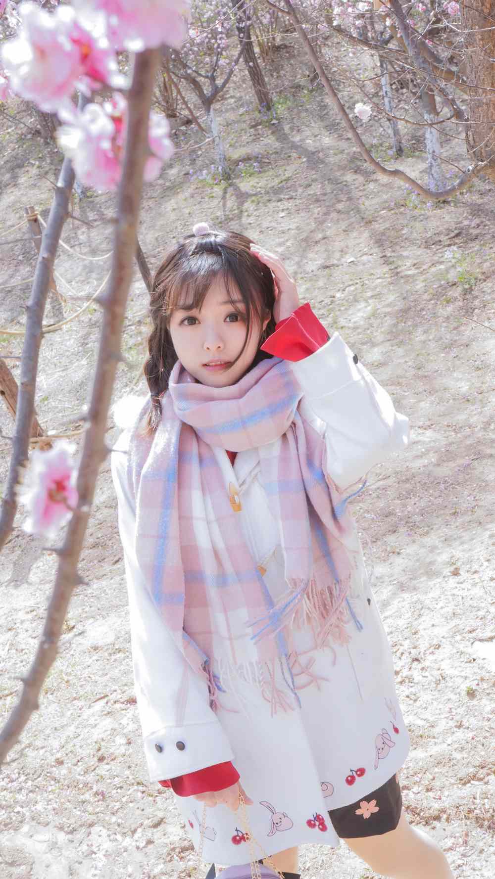 《C站·lolita·第863期》樱花桃花分不清楚