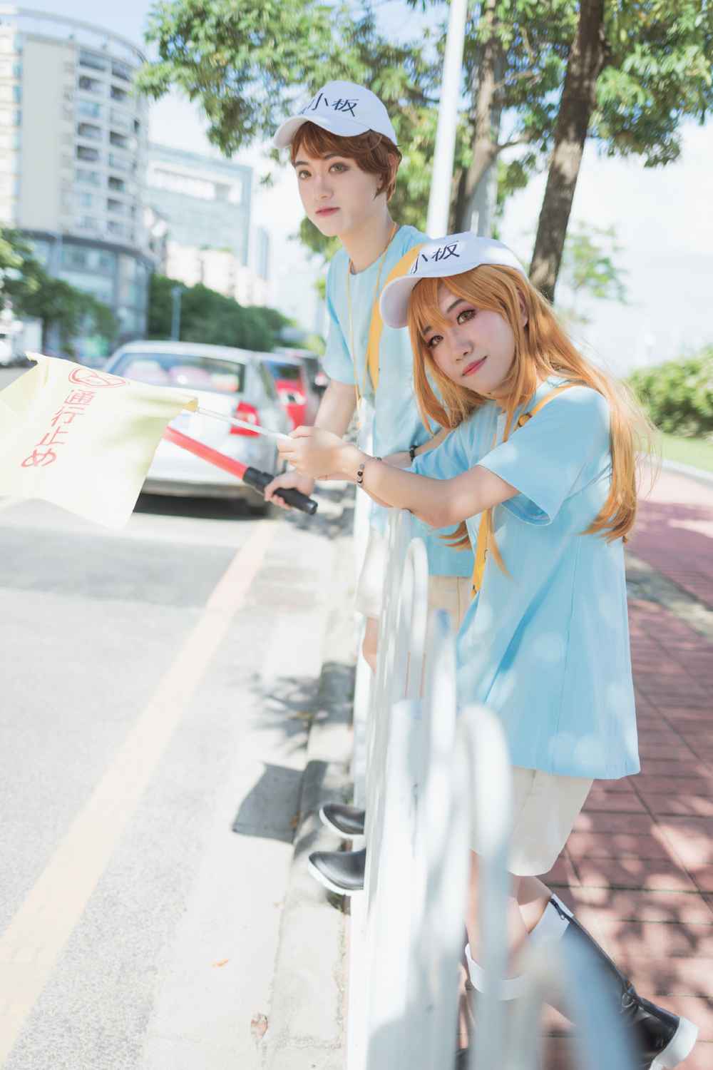 《C站·第3217期》血小板双子