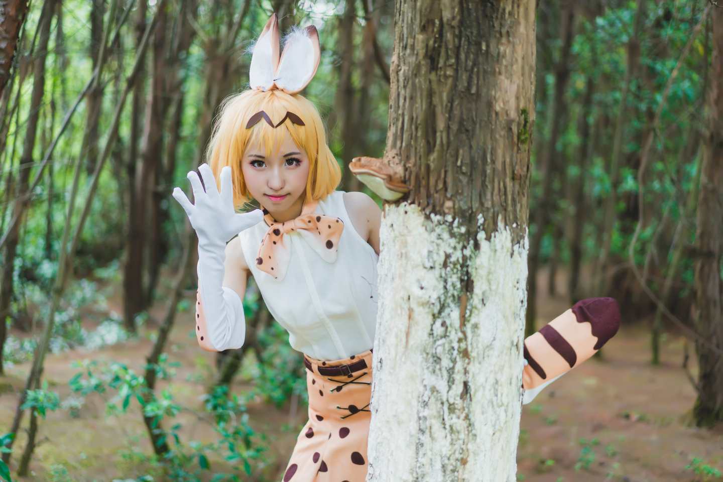 《C站·第3150期》兽娘动物园薮猫