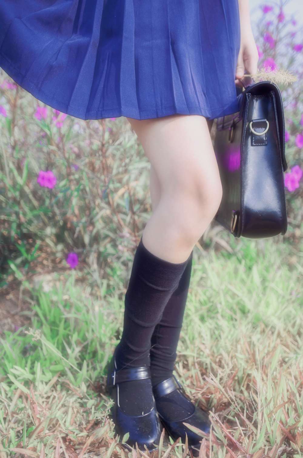 《C站·JK·第332期》绝园的暴风雨不破爱花