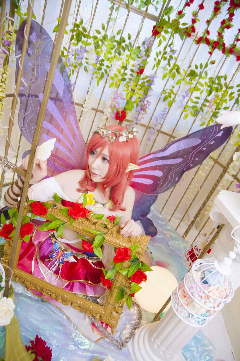 《C站·lolita·第557期》lovelive  真姬花妖精觉醒