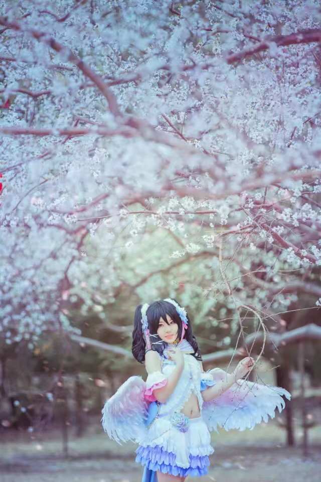 《C站·lolita·第452期》妮可白色情人节