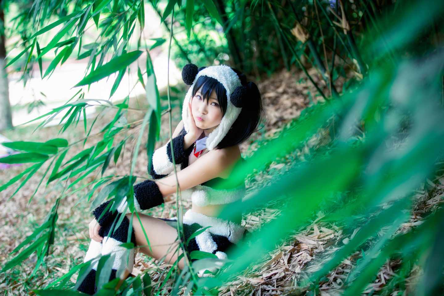 《C站·第3258期》一只野生的熊猫