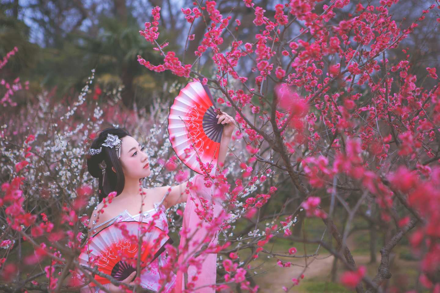 《汉服第562期》秦风七秀