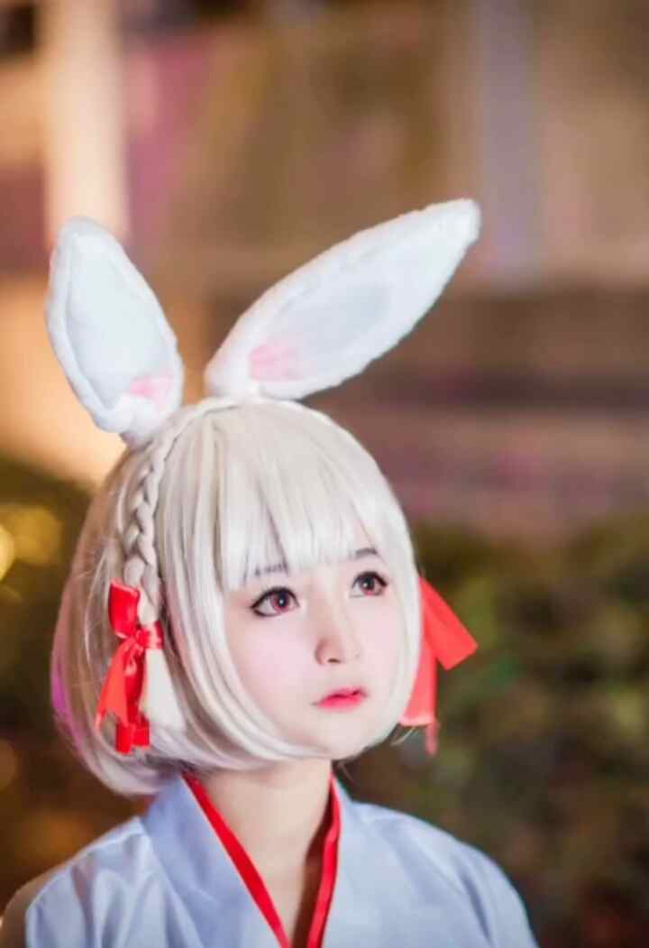 《C站·第3257期》一只可爱的小山兔