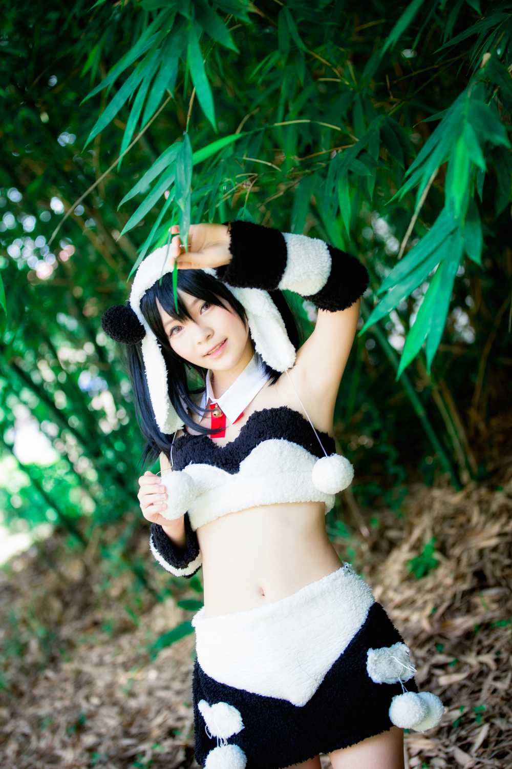 《C站·第3258期》一只野生的熊猫