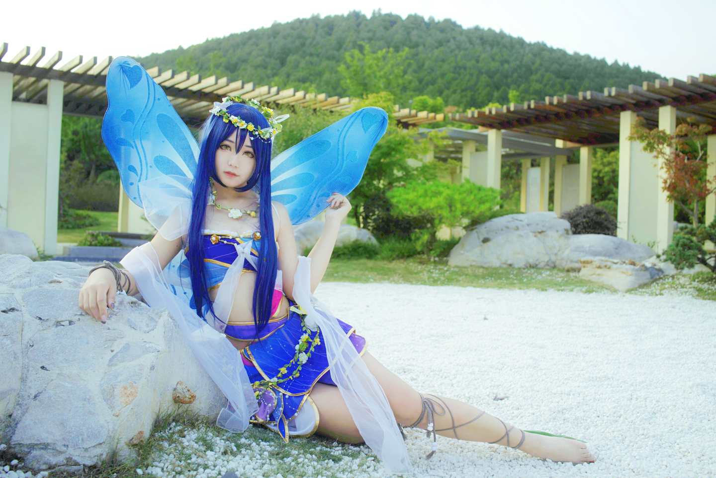 《C站·lolita·第584期》lovelive! 花妖觉醒蝴蝶仙子满天飞