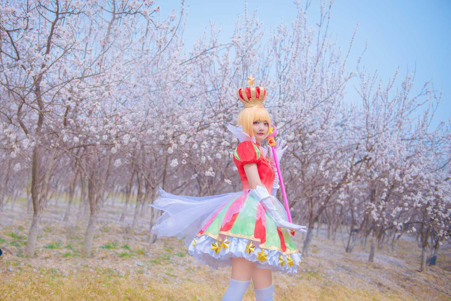 《C站·lolita·第347期》小樱20周年手办