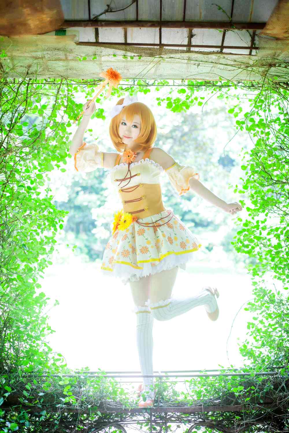 《C站·lolita·第833期》LOVELIVE!高坂穗乃果