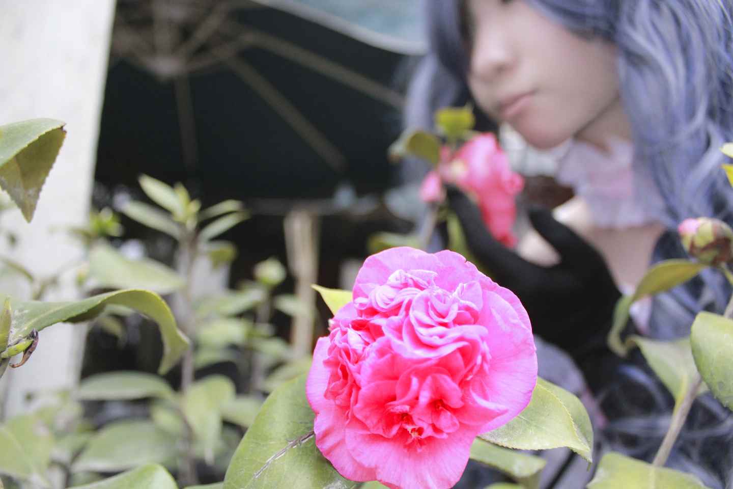 《C站·lolita·第370期》萌萝莉公主女仆一样但是我再也做不到开心的笑了!