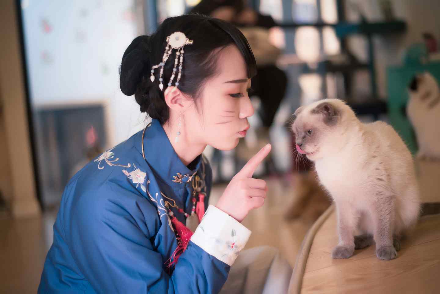 《汉服第347期》汉服#猫趣#