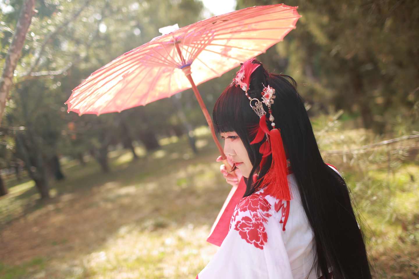 《汉服第701期》三生三生枕上书凤九