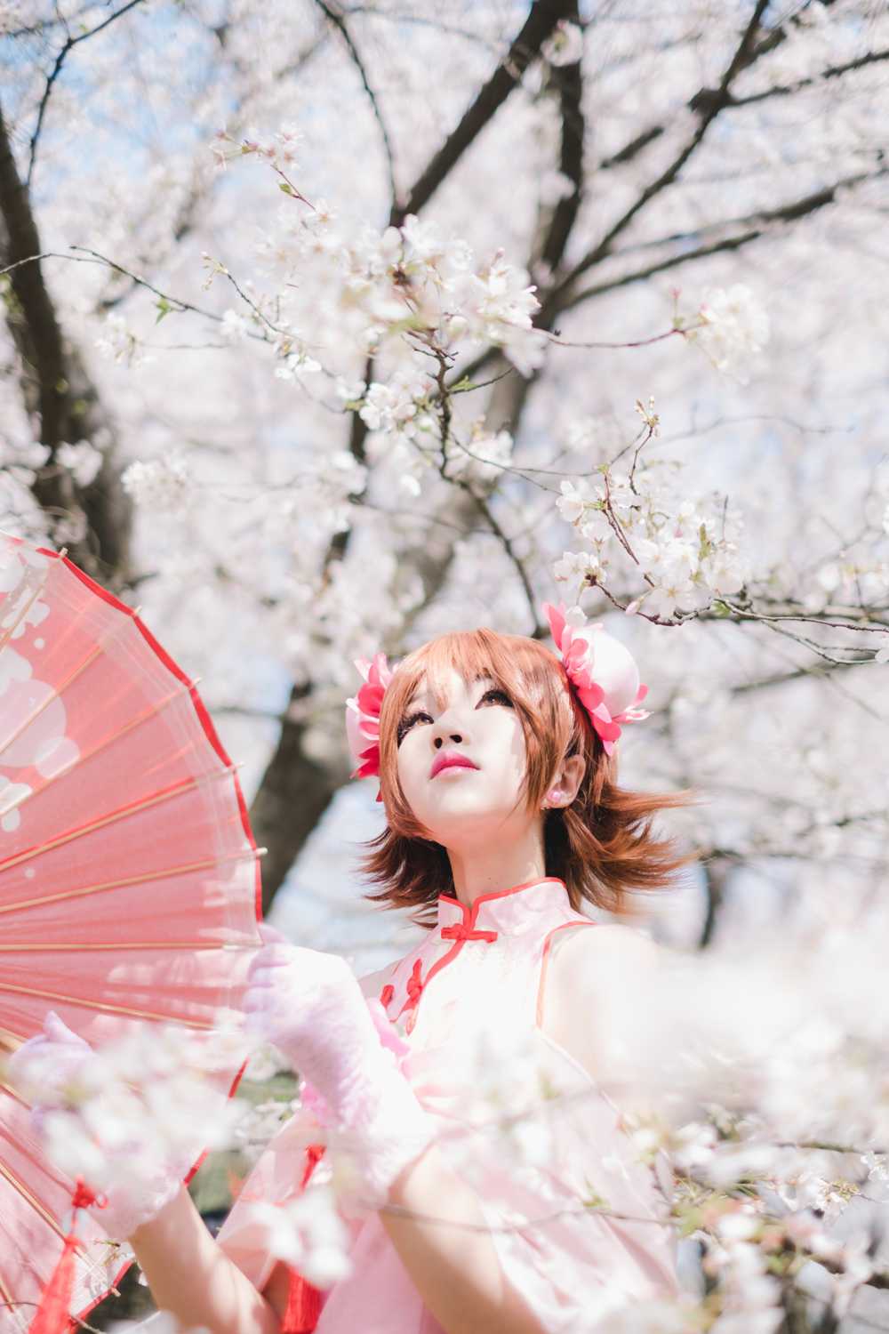 《汉服第407期》家庭教师旗袍笹川京子