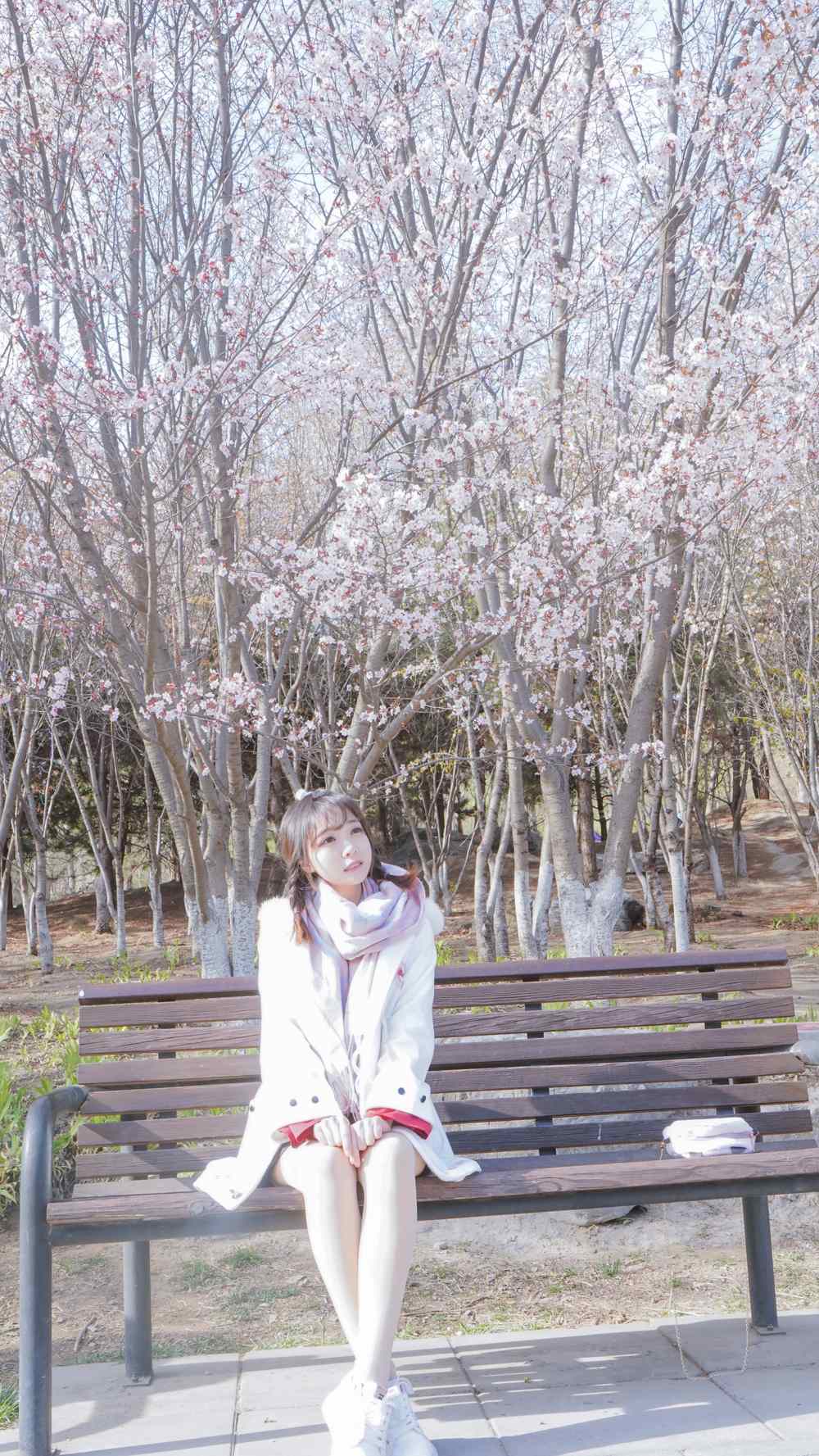 《C站·lolita·第863期》樱花桃花分不清楚