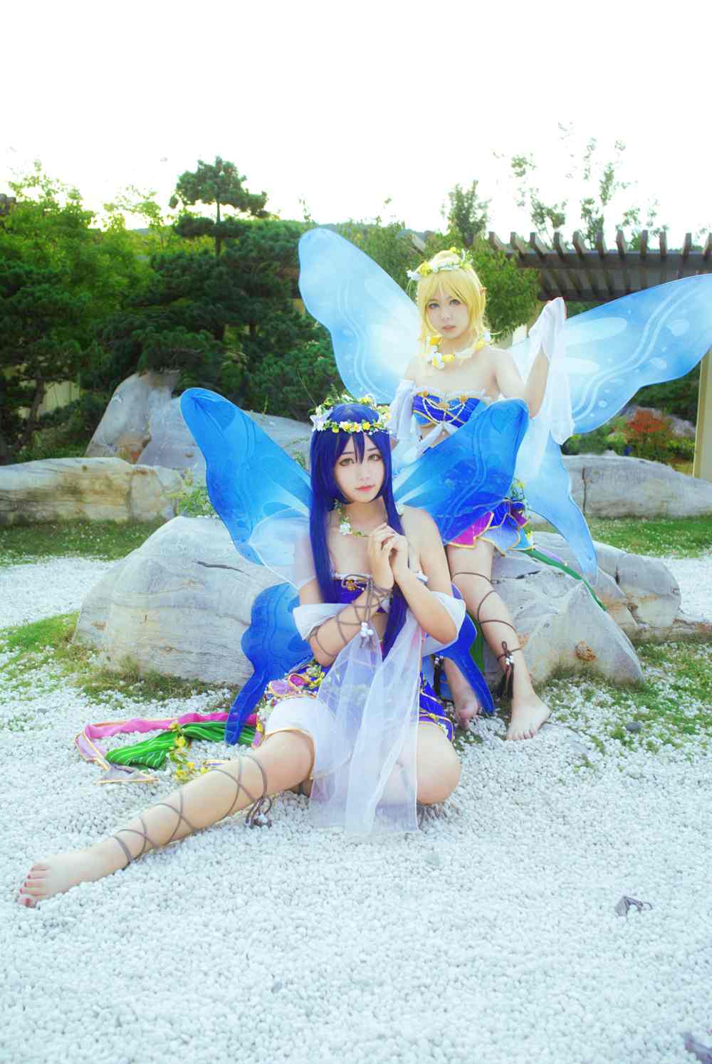 《C站·lolita·第584期》lovelive! 花妖觉醒蝴蝶仙子满天飞