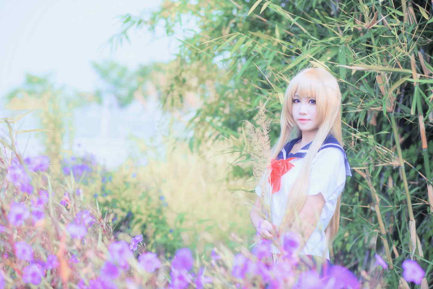 《C站·JK·第332期》绝园的暴风雨不破爱花