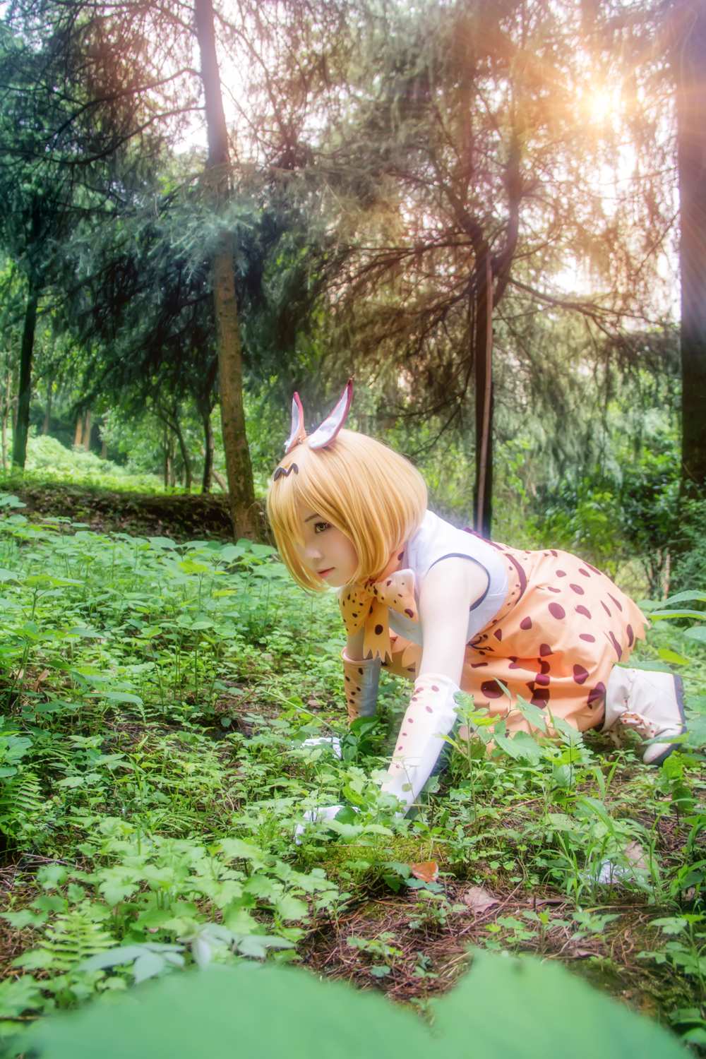 《C站·第3149期》兽娘动物园