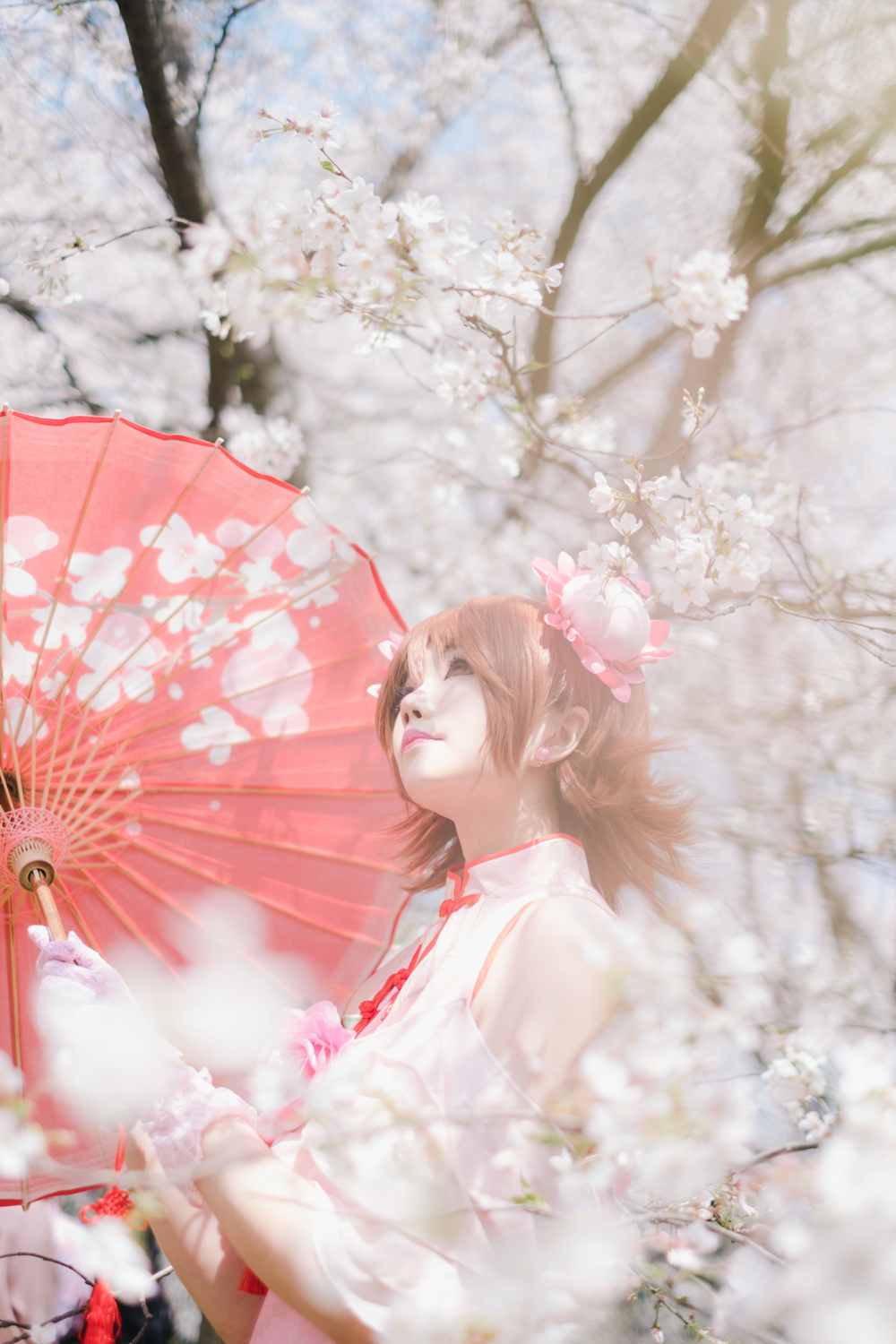 《汉服第407期》家庭教师旗袍笹川京子