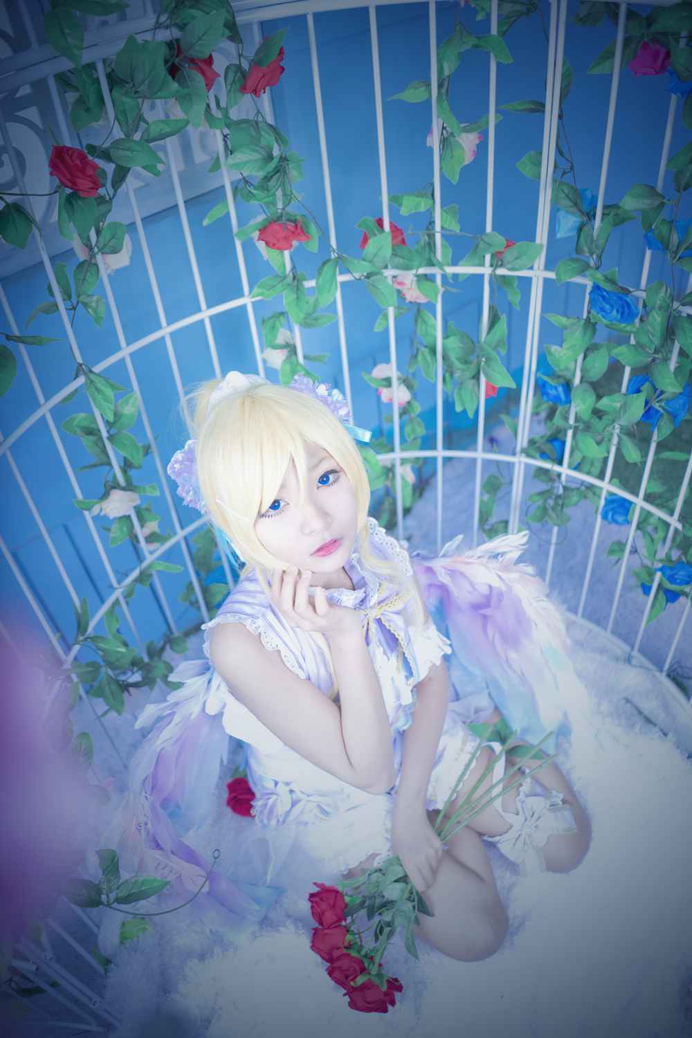 《C站·lolita·第927期》lovelive！绚濑绘里白色情人节