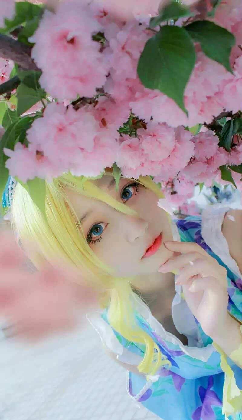 《C站·lolita·第995期》Lovelive浴衣觉醒