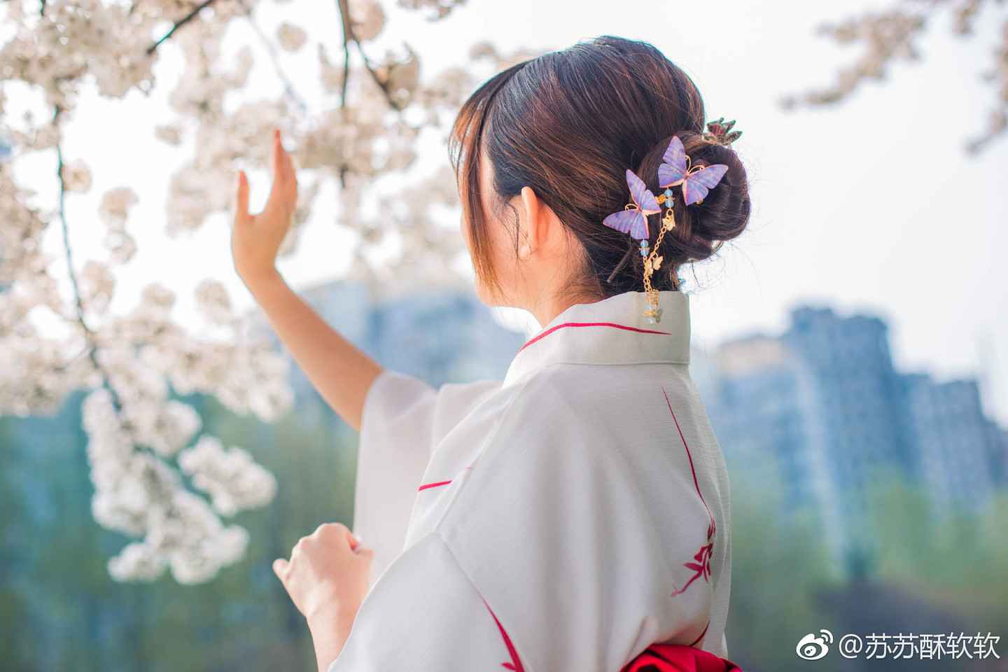 《汉服第848期》浴衣少女 早樱