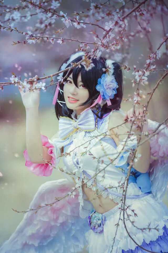 《C站·lolita·第452期》妮可白色情人节