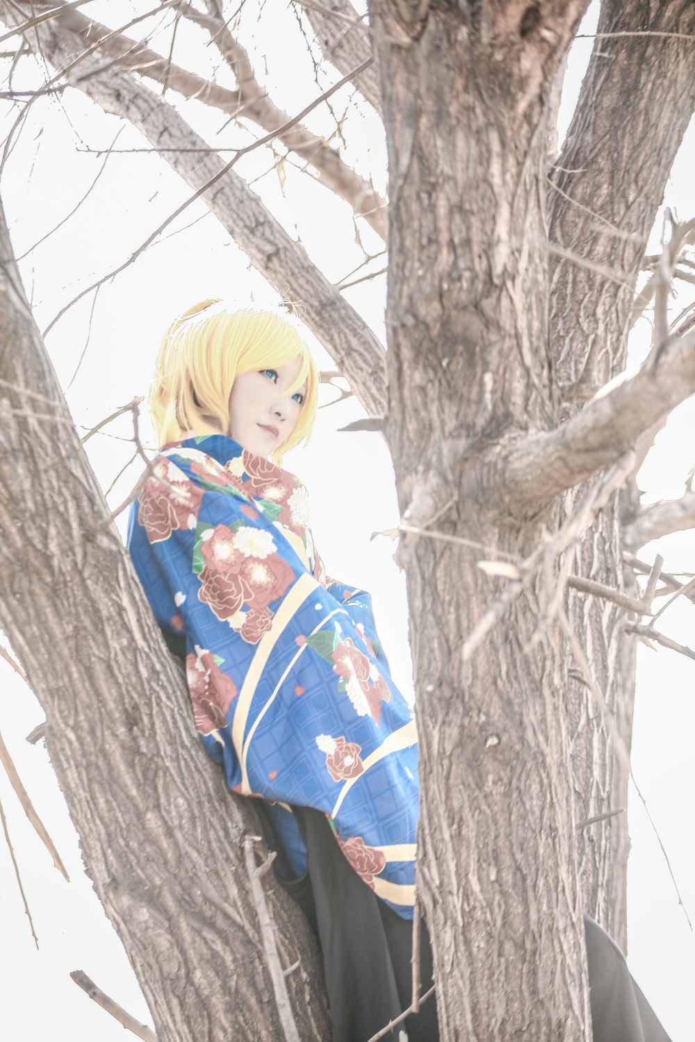 《C站·lolita·第359期》大正和服未觉醒