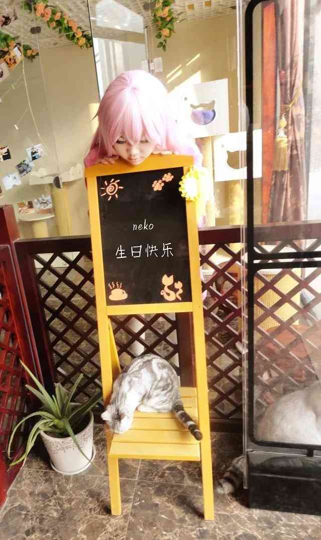 《C站·lolita·第1007期》K neko 妮可