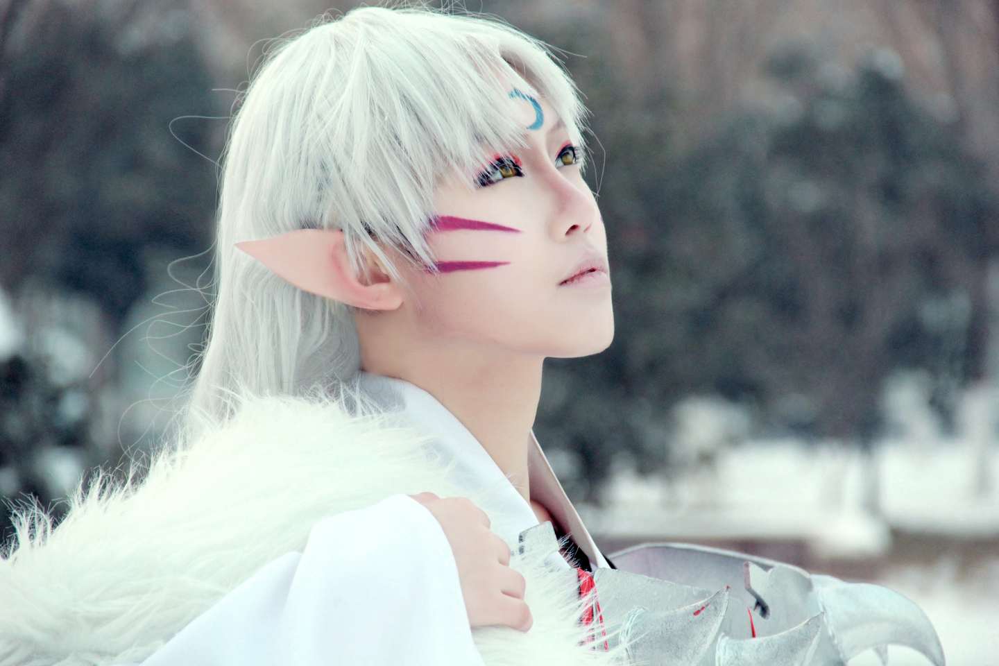 《C站·第3083期》犬夜叉雪地版杀生丸