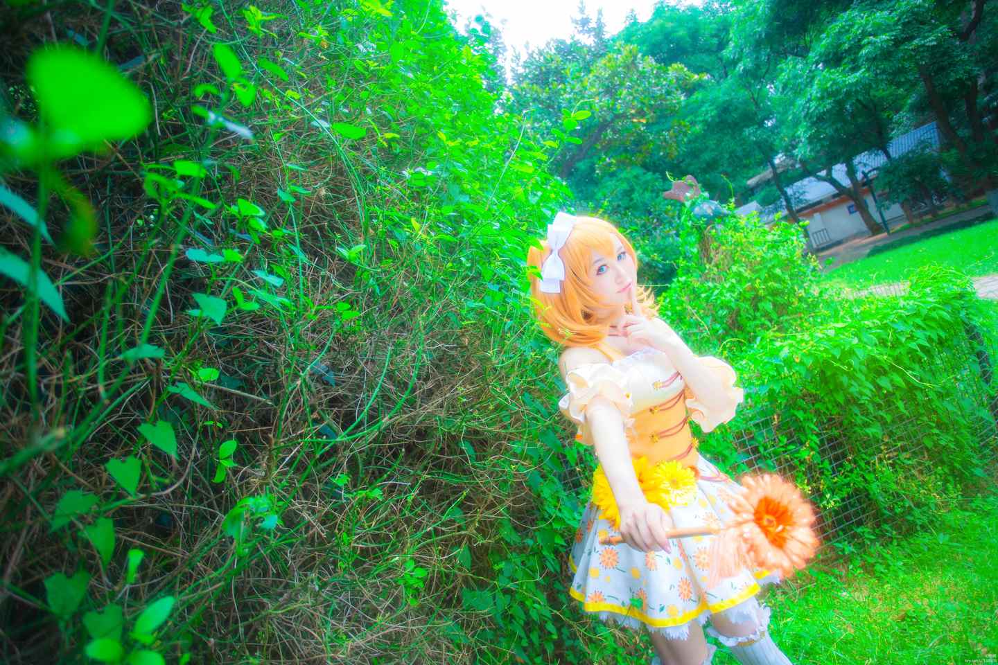 《C站·lolita·第608期》LOVELIVE!高坂穗乃果森林之女